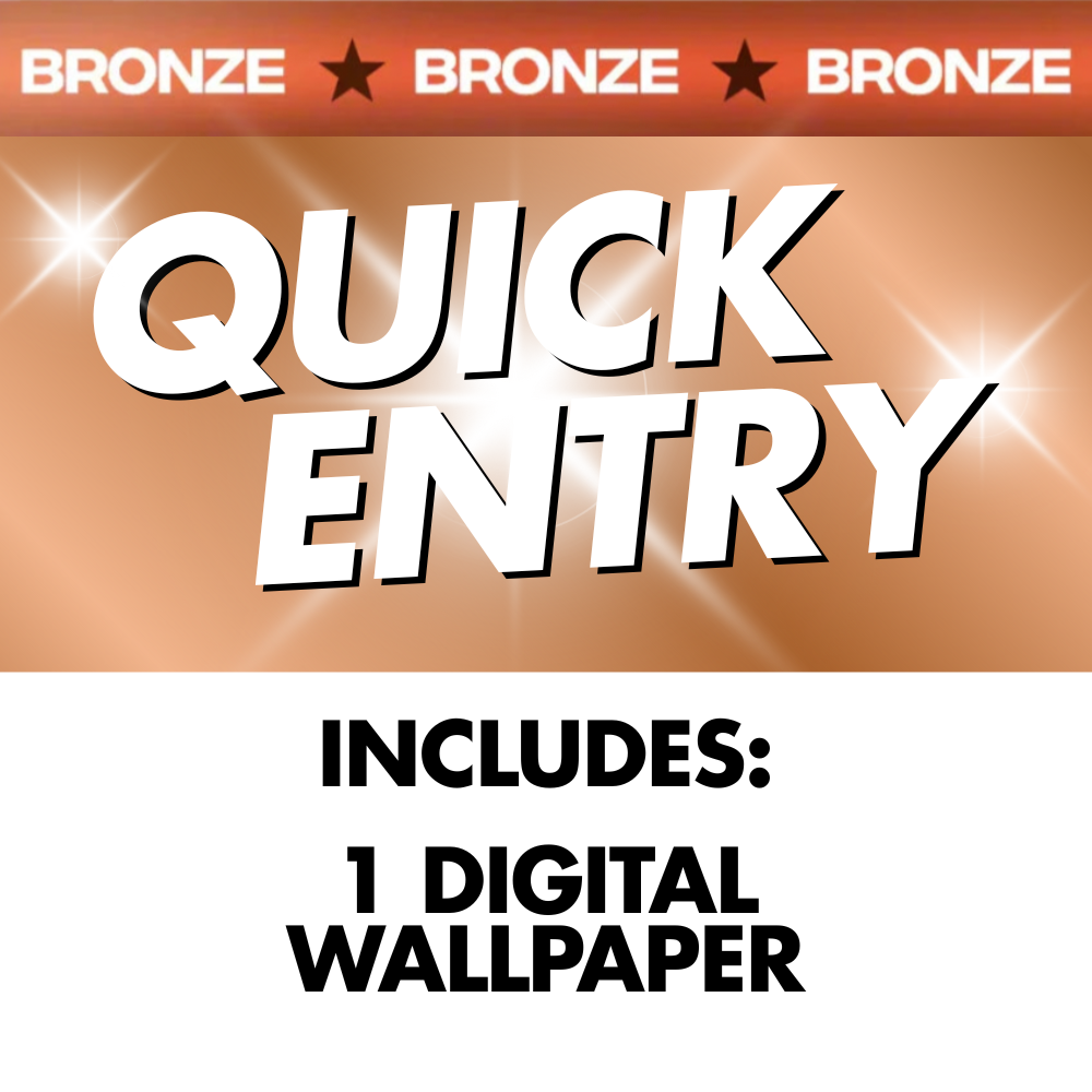 Bronze Quick Entry